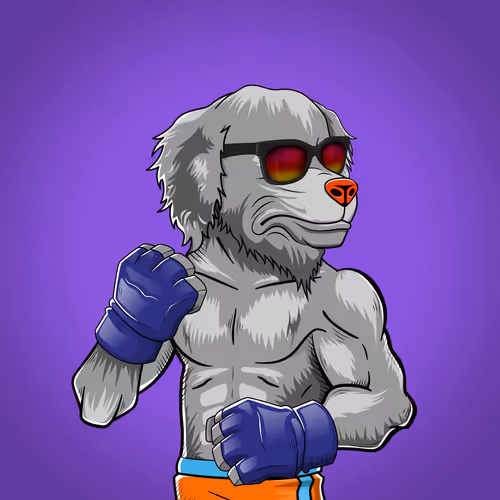 Marshall Fight Club