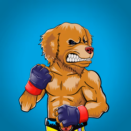 Marshall Fight Club