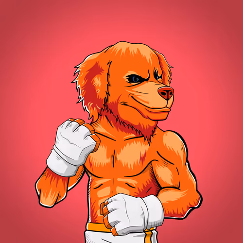 Fighter #1915