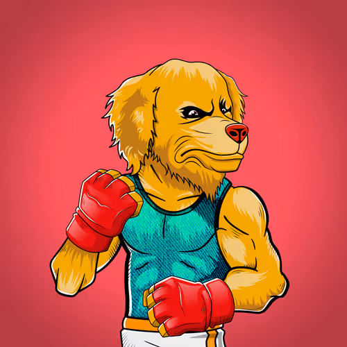 Marshall Fight Club