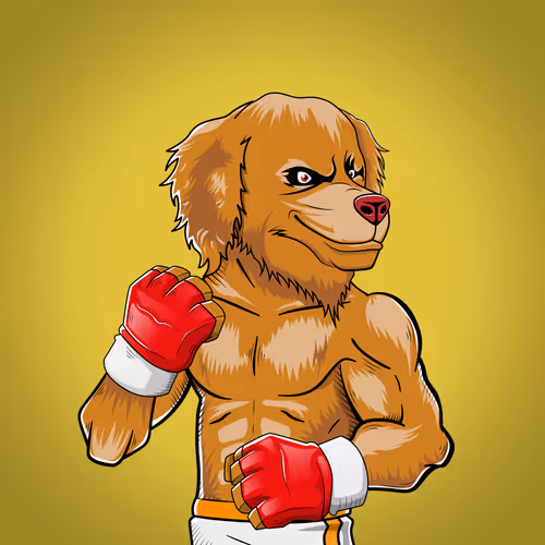 Marshall Fight Club