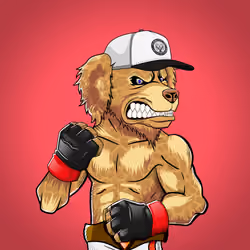 Fighter #375