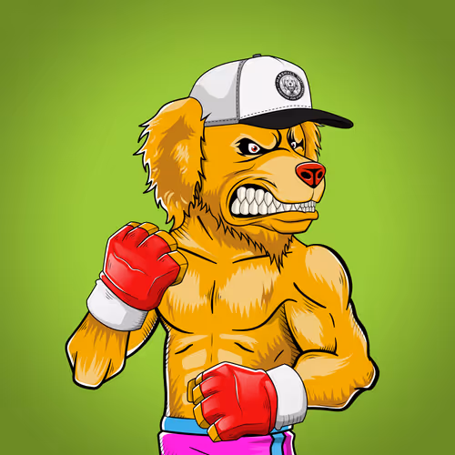 Marshall Fight Club