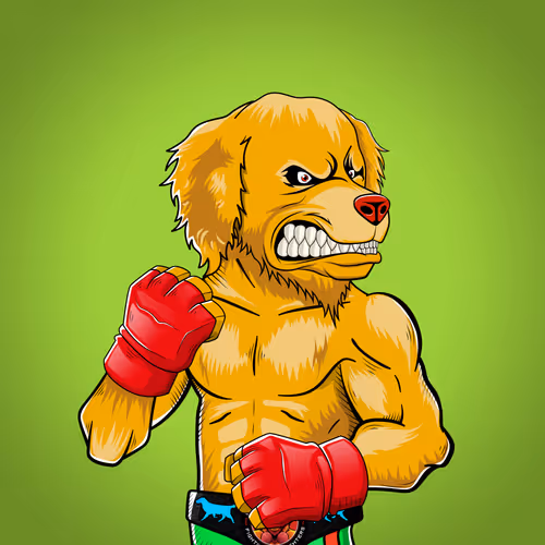 Marshall Fight Club
