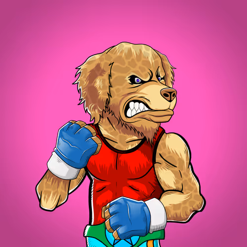 Marshall Fight Club