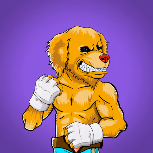 Fighter #544