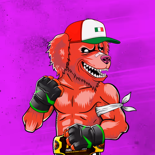 Marshall Fight Club