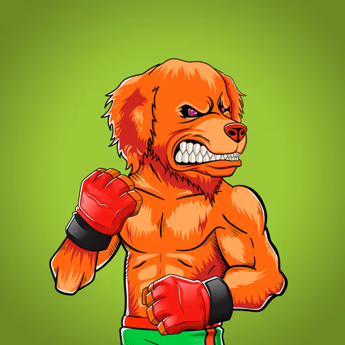 Marshall Fight Club