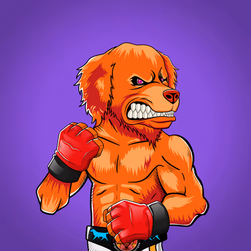 Marshall Fight Club