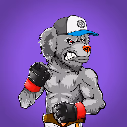 Marshall Fight Club
