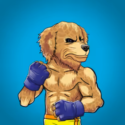 Fighter #2580