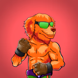 Fighter #3403