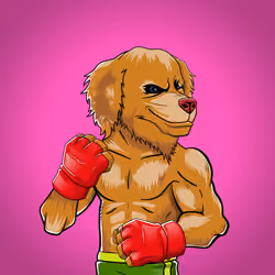 Fighter #3927