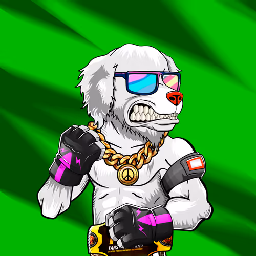 Marshall Fight Club