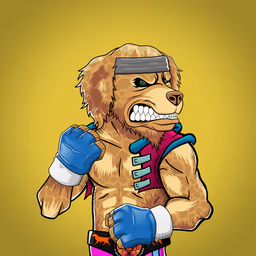 Marshall Fight Club