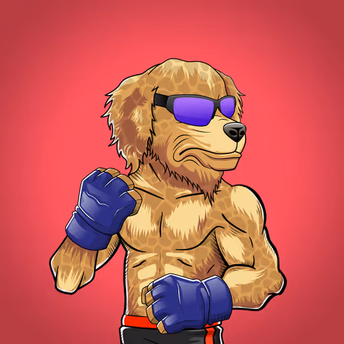 Marshall Fight Club