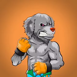 Fighter #2256