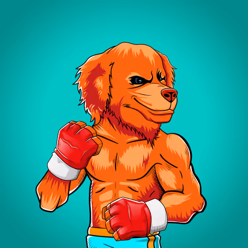 Fighter #667