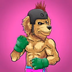Fighter #1578