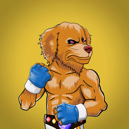 Marshall Fight Club