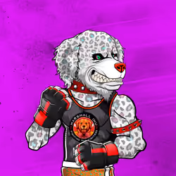 Fighter #671
