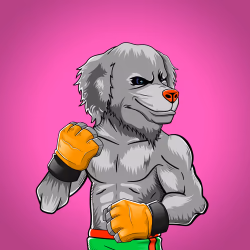 Fighter #2981