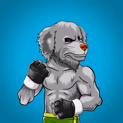 Fighter #875