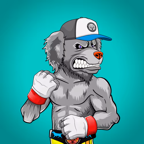 Marshall Fight Club