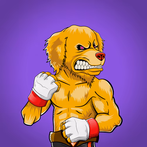 Marshall Fight Club