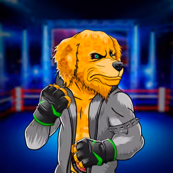 Fighter #2885