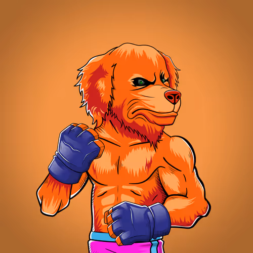 Marshall Fight Club