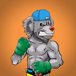 Fighter #877