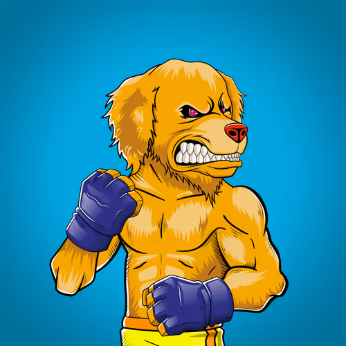 Marshall Fight Club