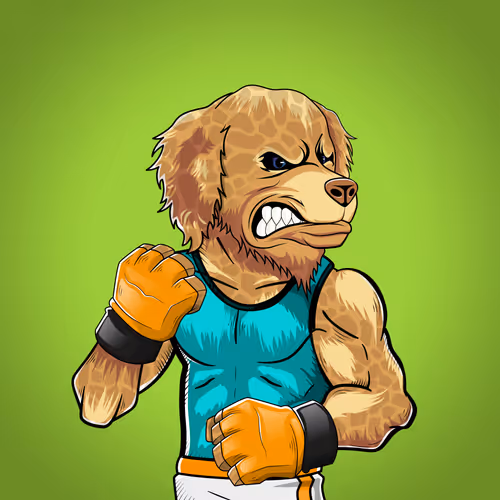 Marshall Fight Club