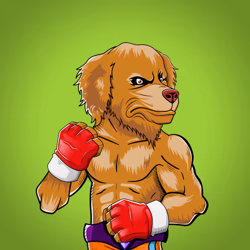 Marshall Fight Club