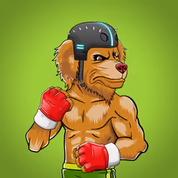 Fighter #2095