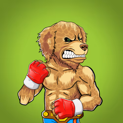 Marshall Fight Club