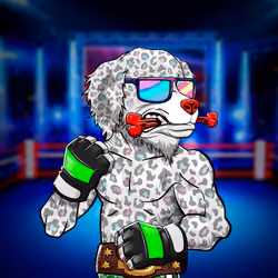 Fighter #372