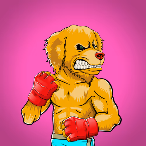 Marshall Fight Club