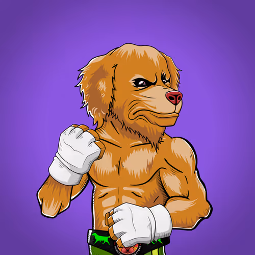 Marshall Fight Club