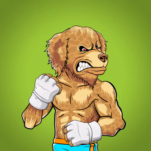 Marshall Fight Club