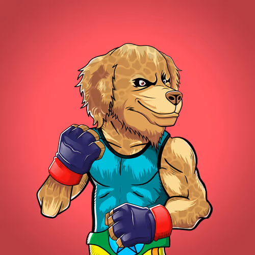 Marshall Fight Club