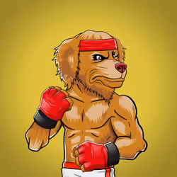 Fighter #2057