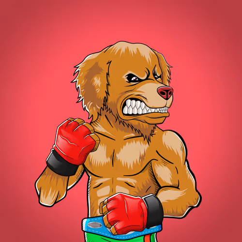Marshall Fight Club