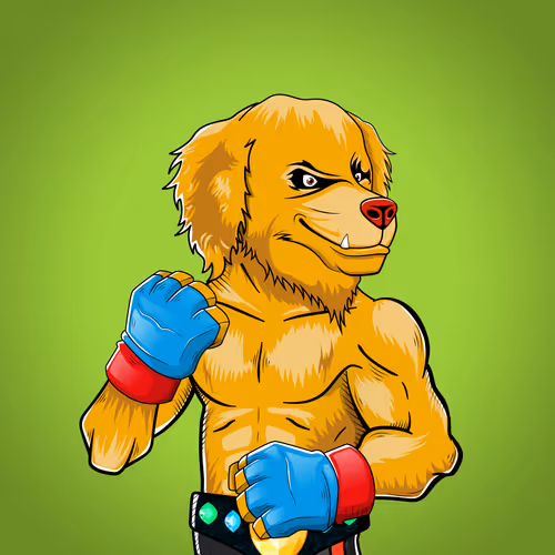 Marshall Fight Club