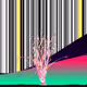 Coded Flowering Banner