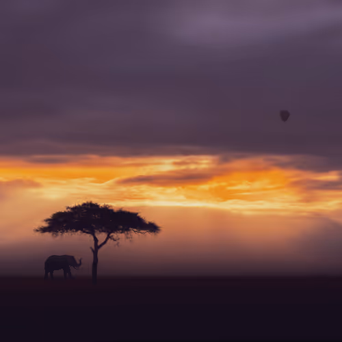 Stories from Africa