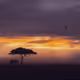 Stories from Africa