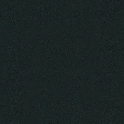 Nyc February 19th 2020