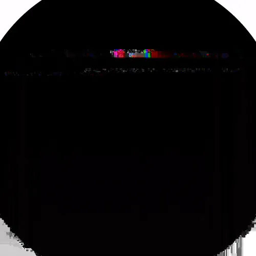 1001